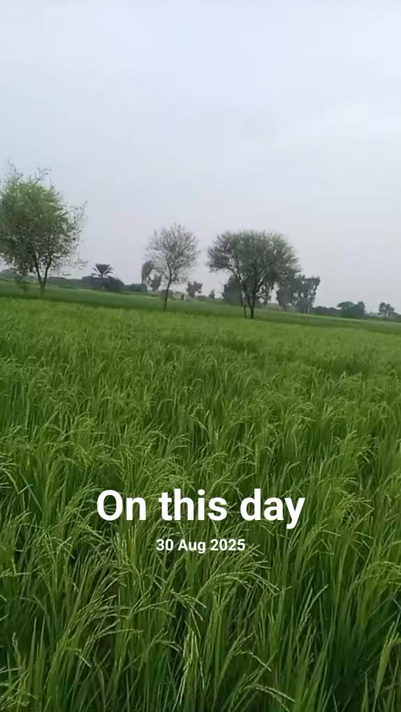 @Malik Tariq 512