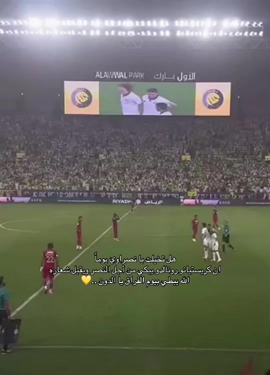 @البرتغالي | 🇵🇹 𓃵