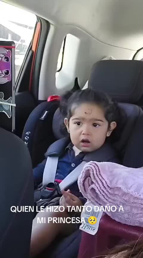 @Valentina Mansilla P