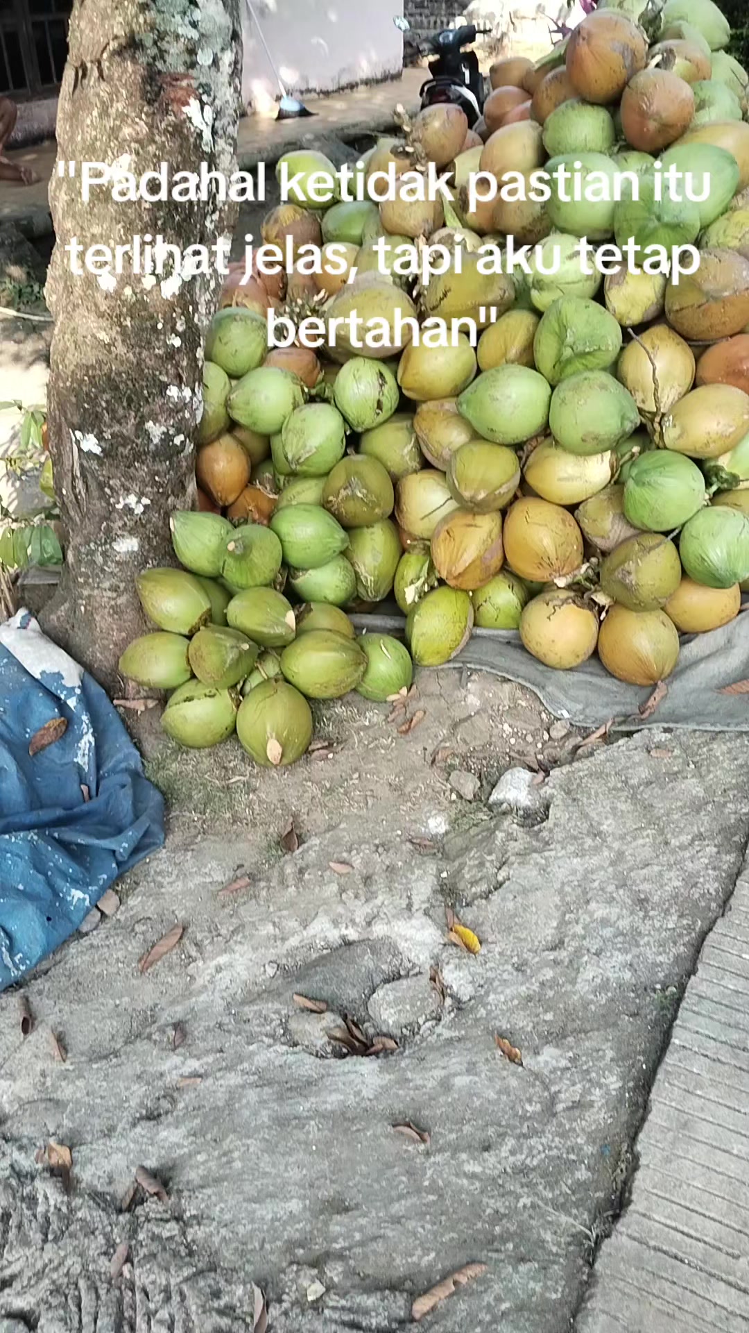 @@BANGKIT_MANDIRI01