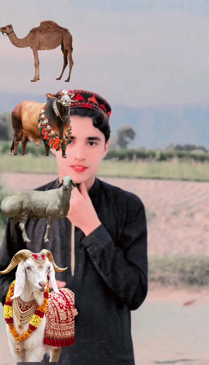 @Dikhanking