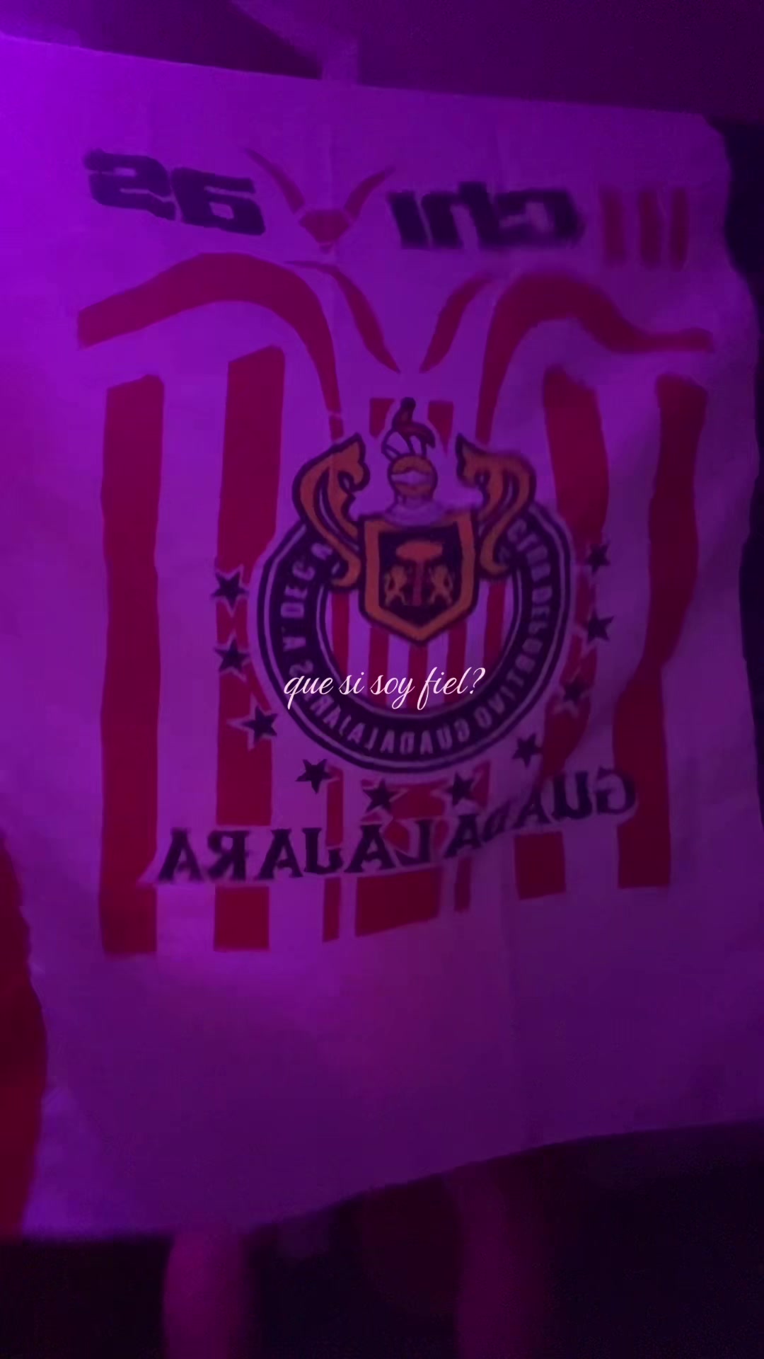 @_soyfani