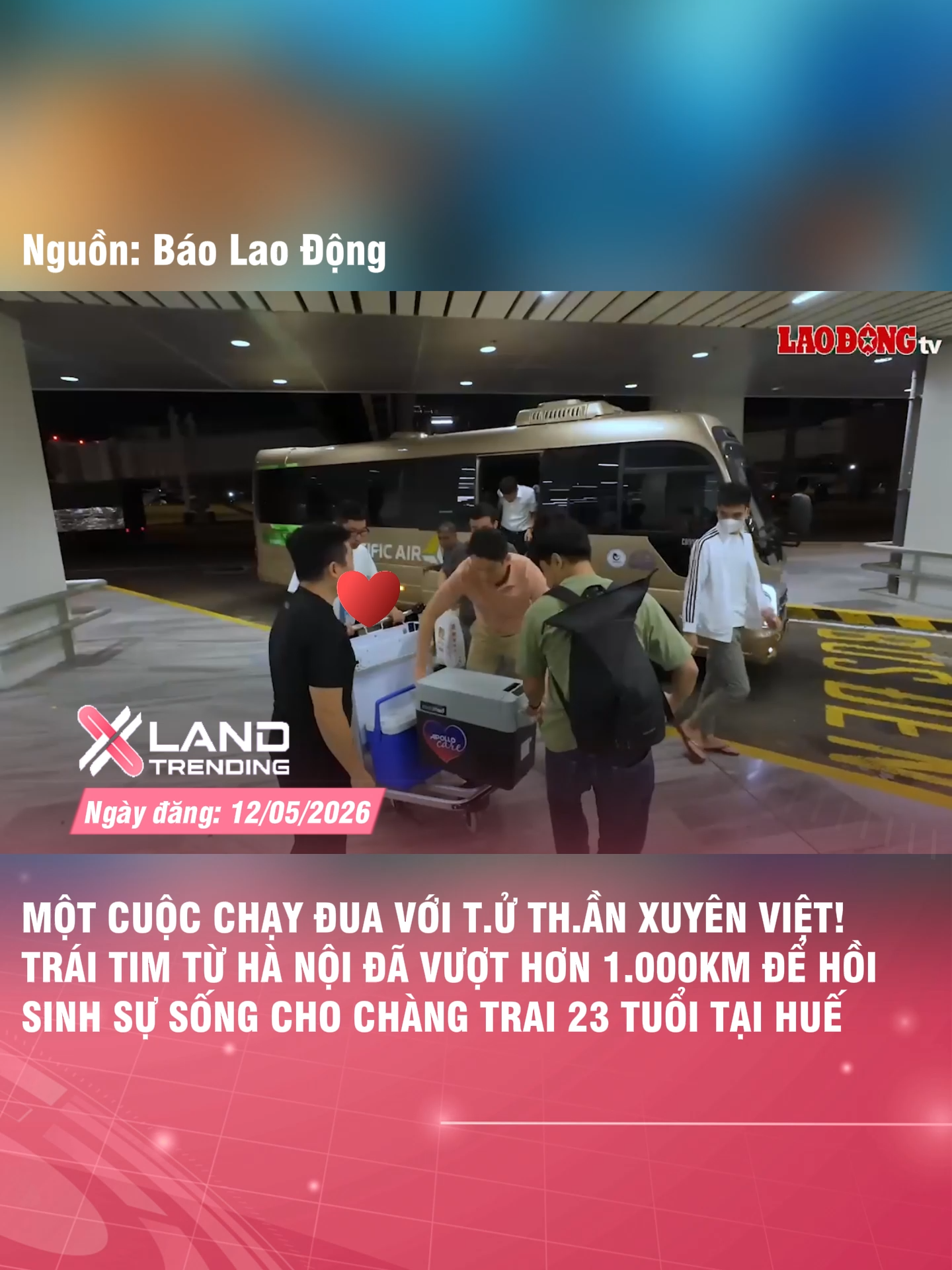 @XLAND TRENDING