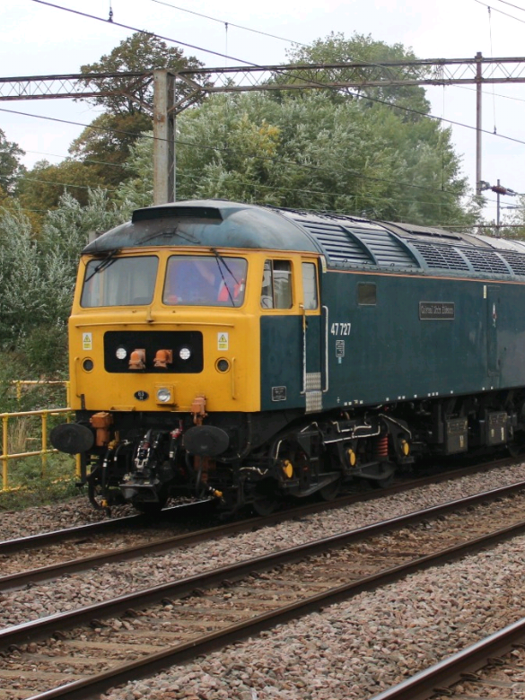 @the.local_trainfan