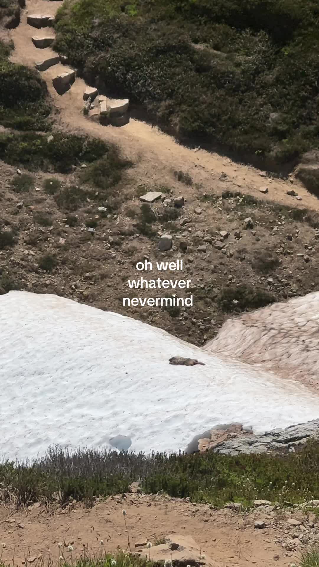 @Kaila Pe&ntilde;a Hereid