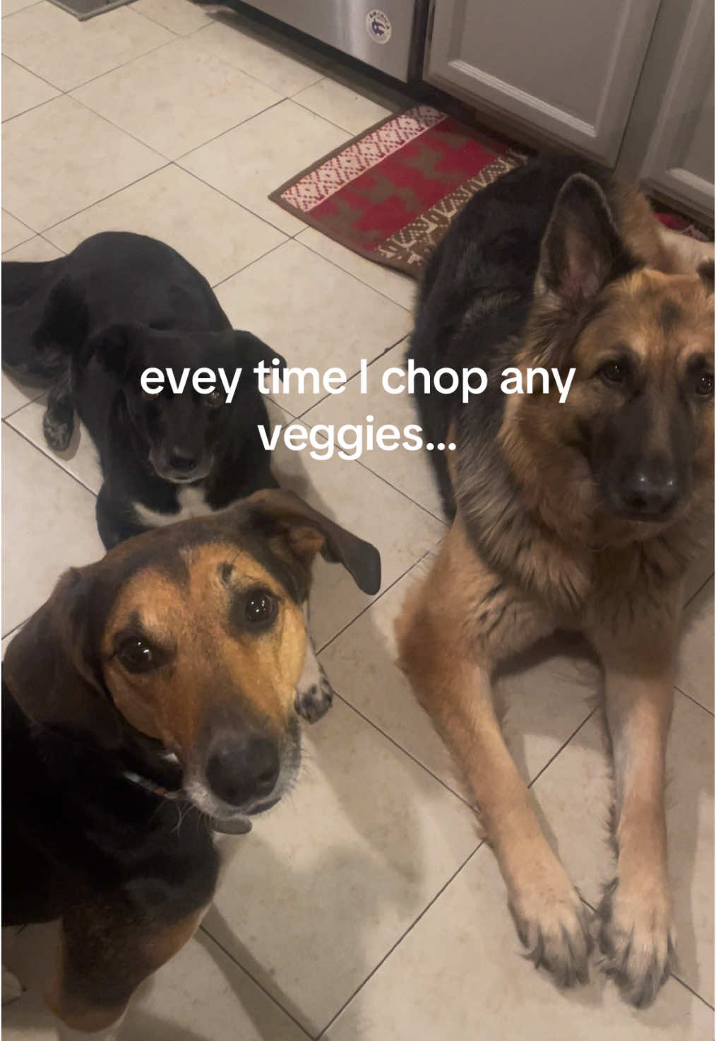 @kayskitchenco