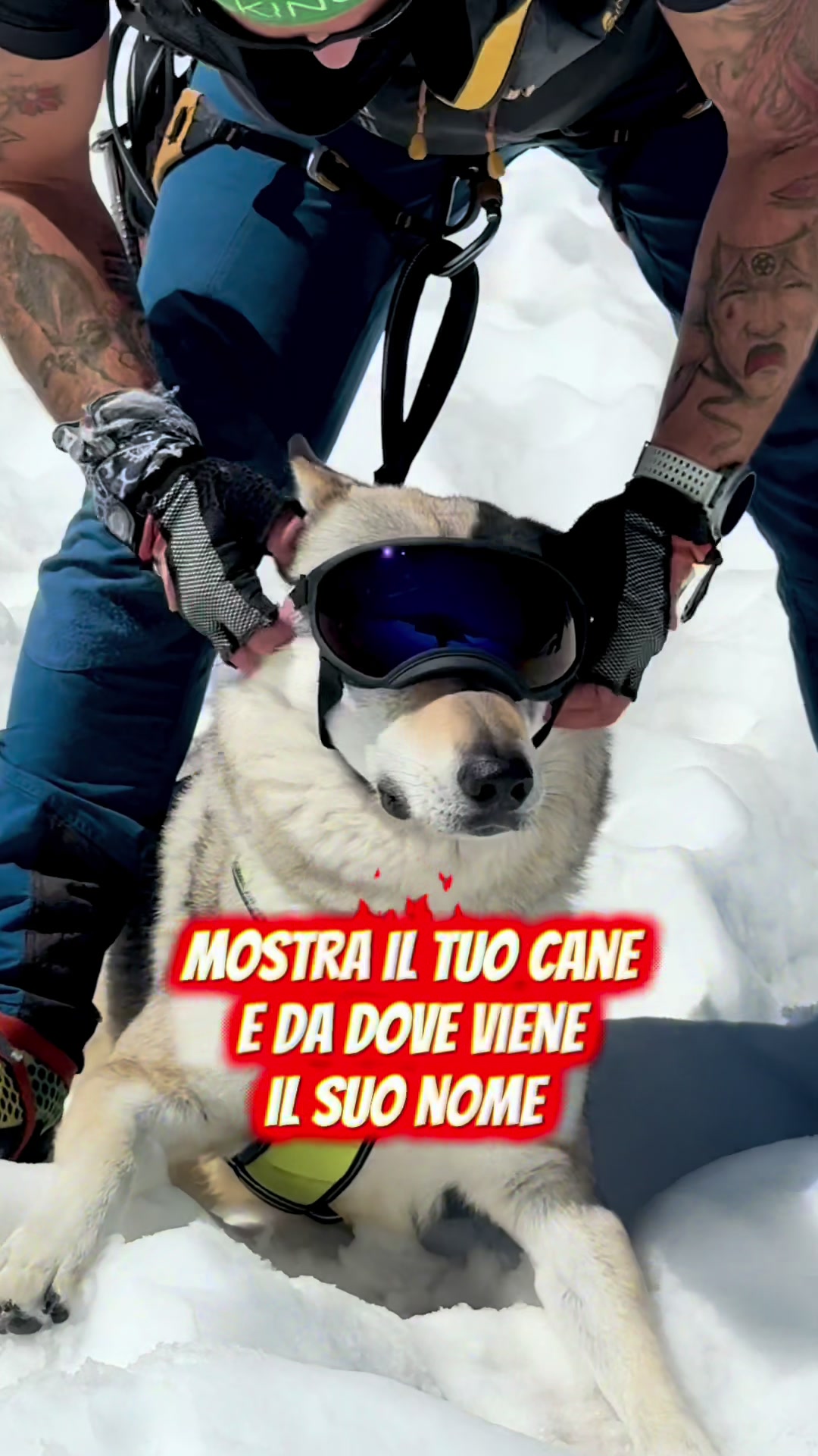 @WalkingWolf