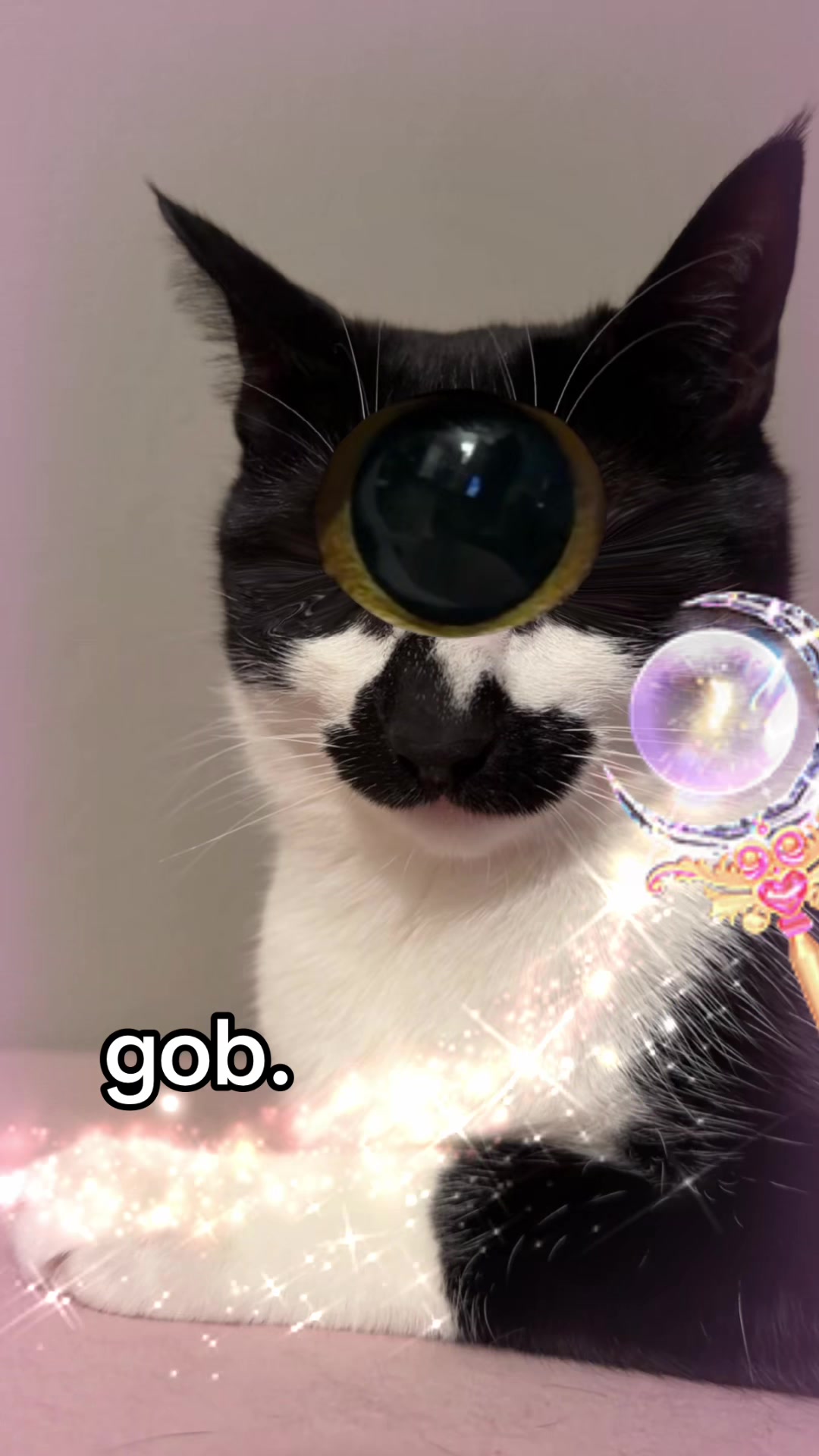 @countess goobula 🖤🩸