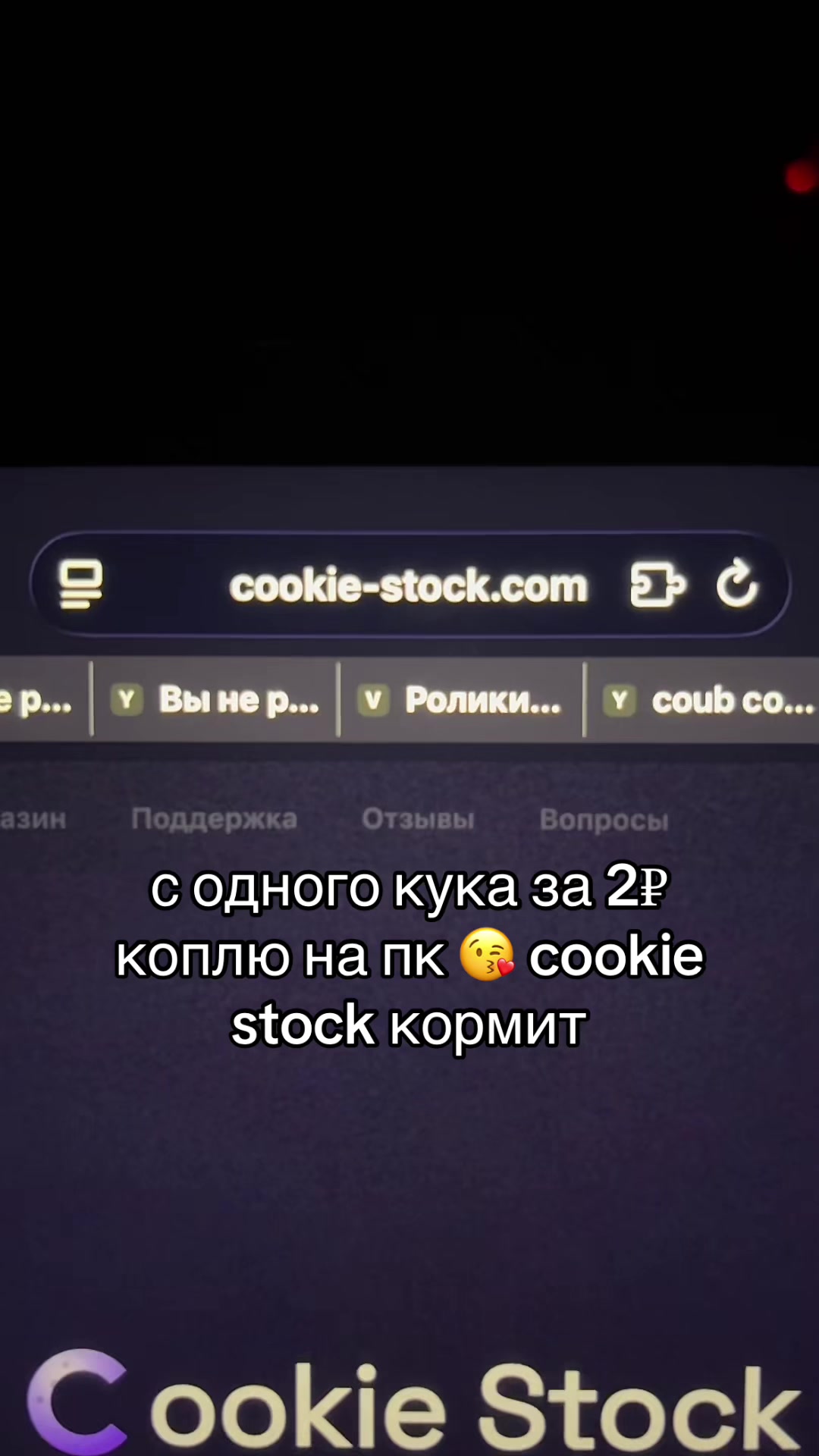 @cookiestockfun