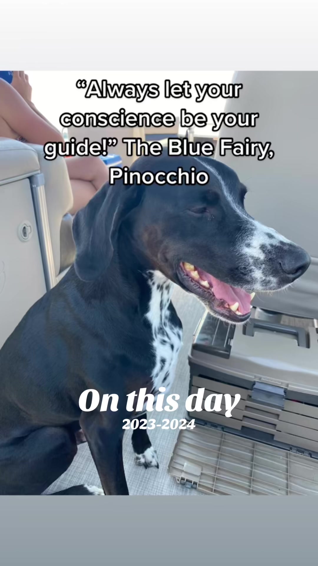 @MrBlue. (RDog) 🇨🇦