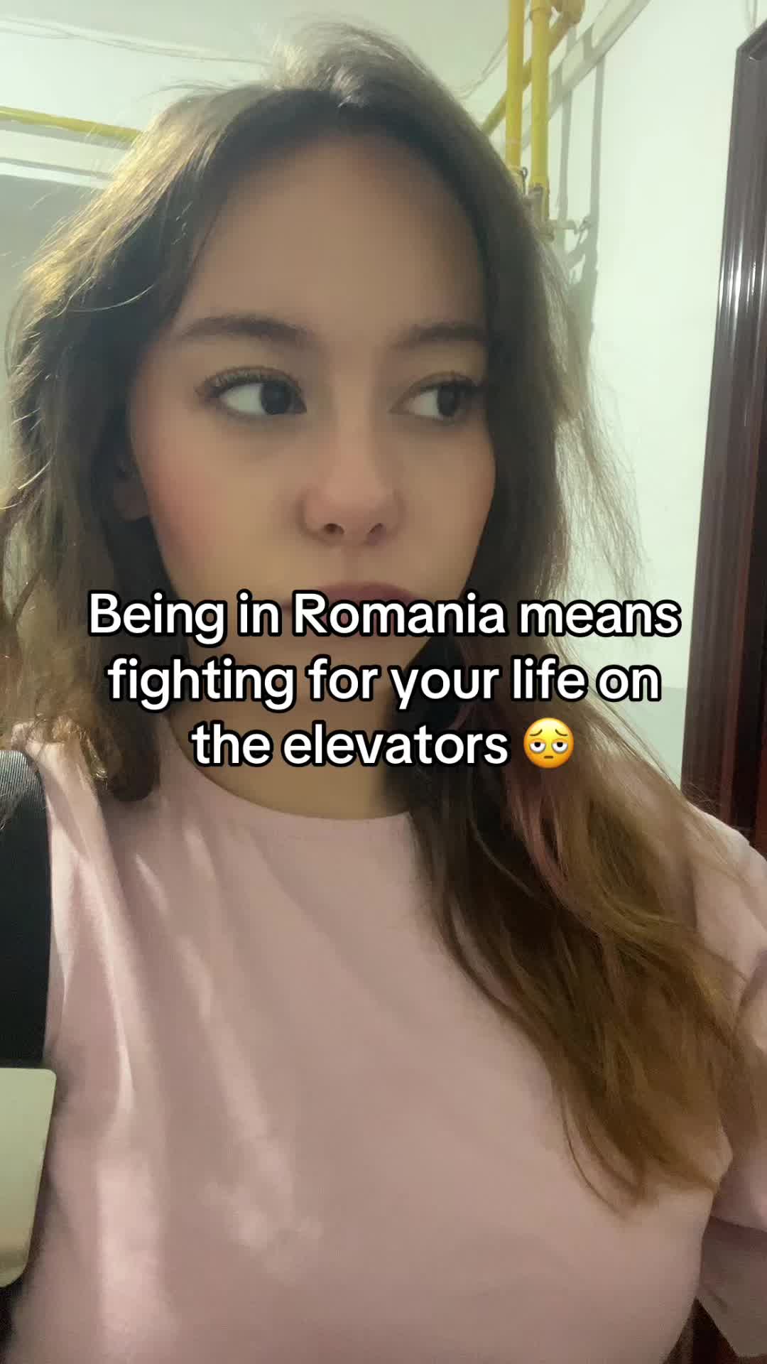 @bambileta 🦌🤍