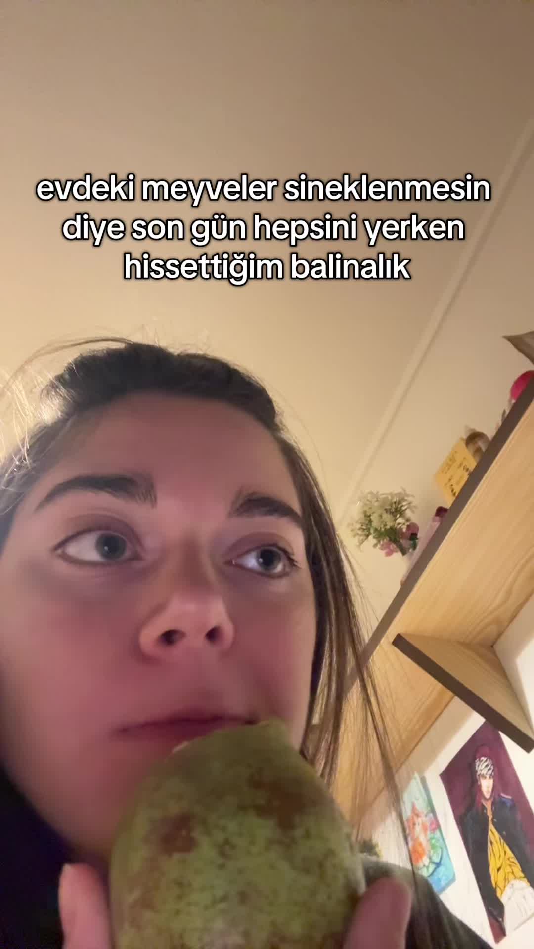 @beg&uuml;m