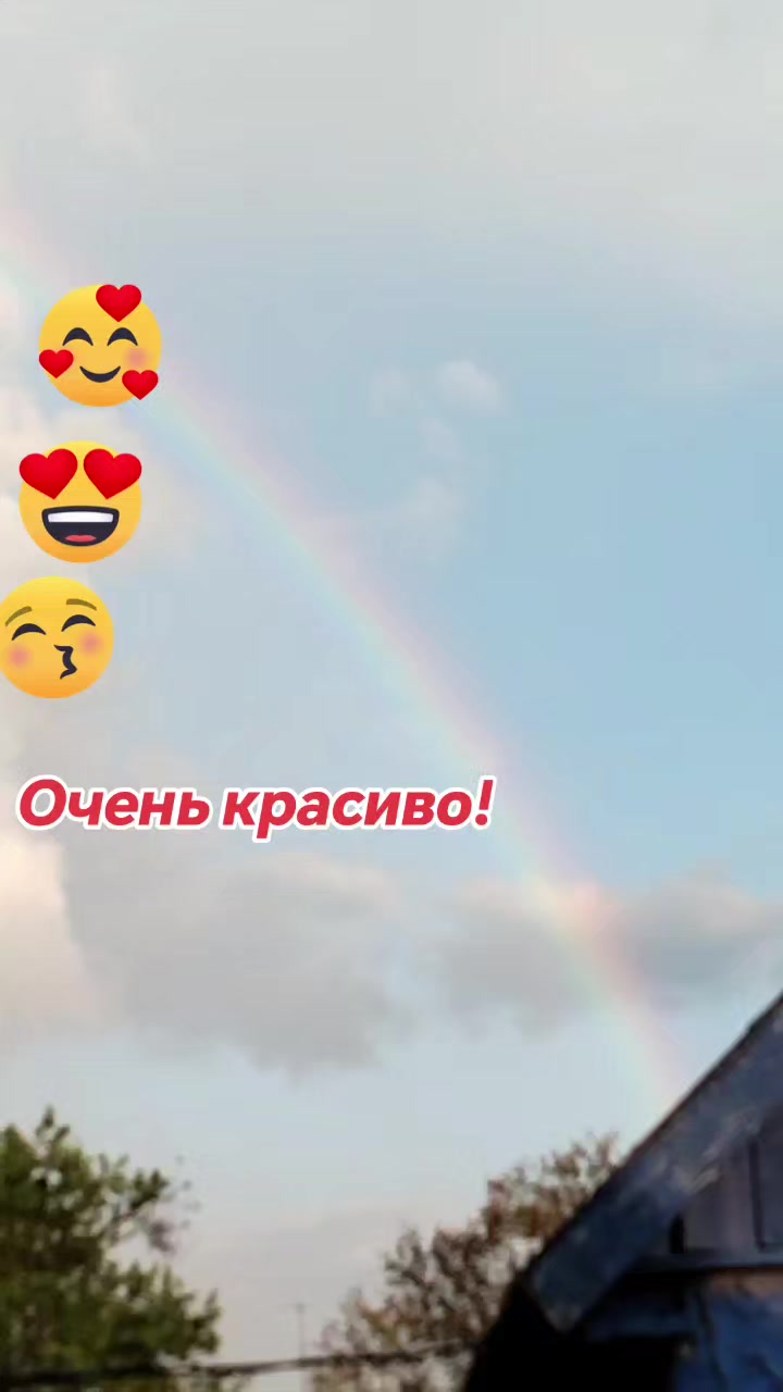 @lenakarneevih