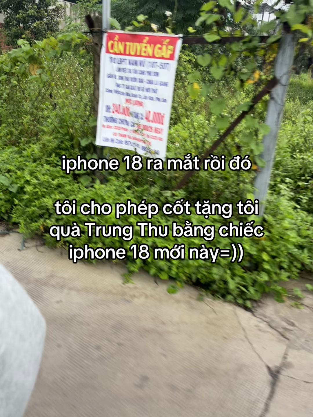 @Tiến Đức