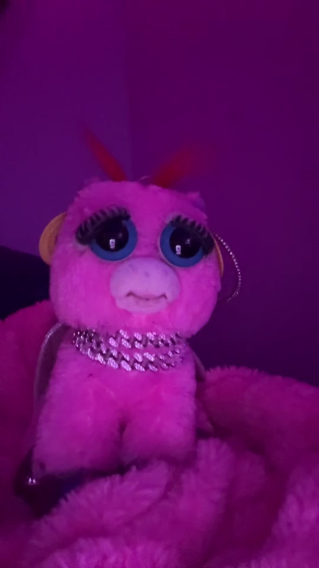 @Unicorn Glitter
