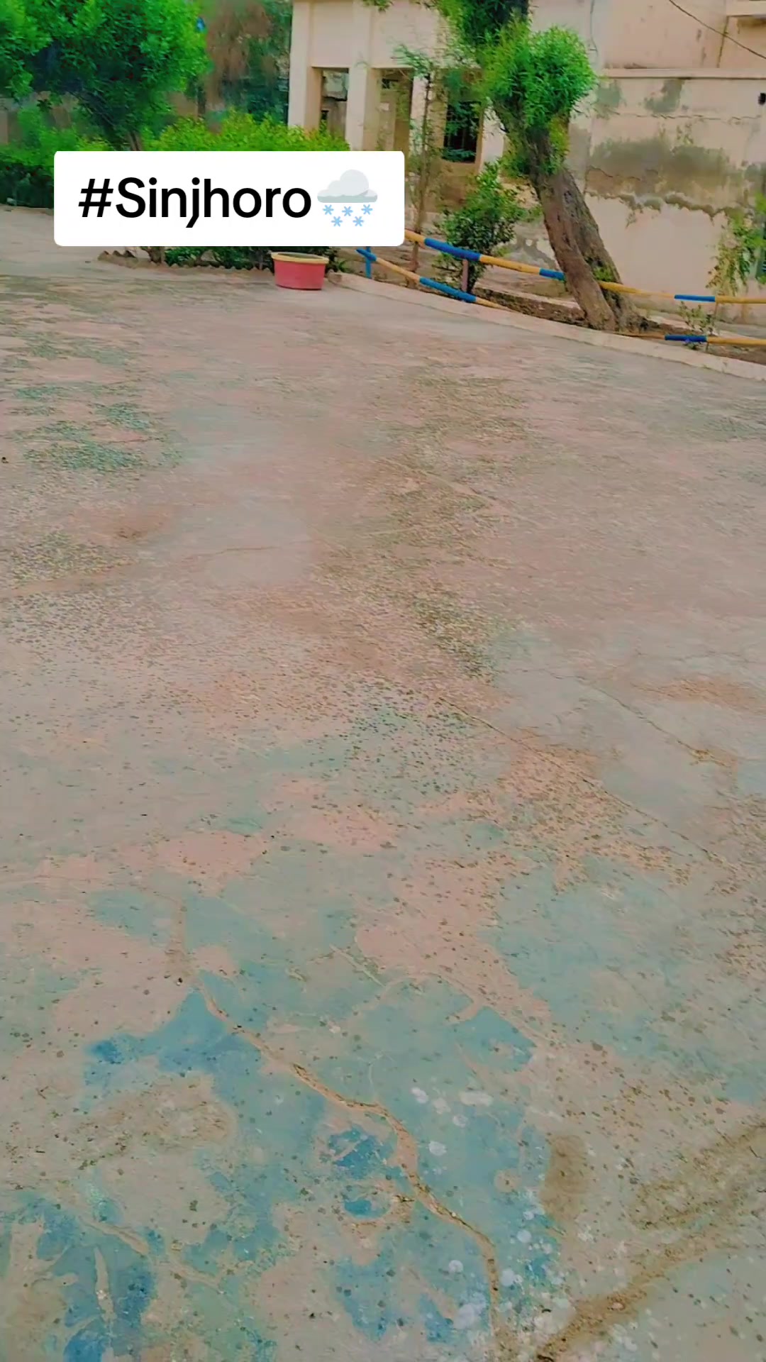 @Miss Arain🧑🏫