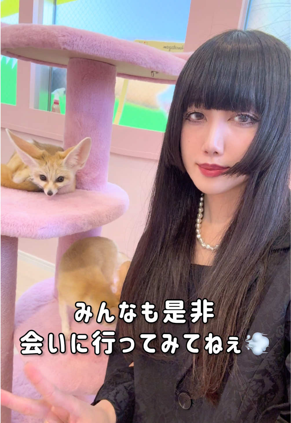 @南野 音(なんの おと)