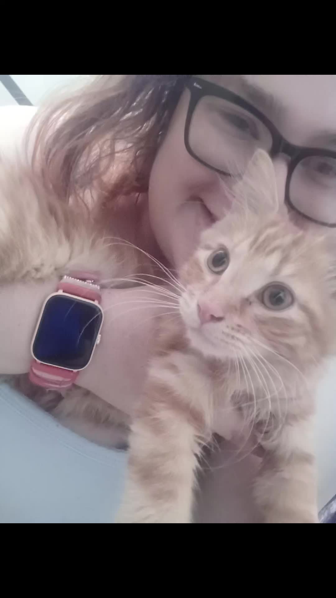 @Bri/LilStonerPrincess💜🏳️🌈