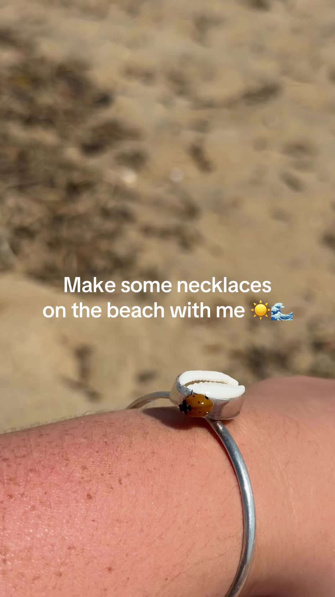 @Saltysunclub