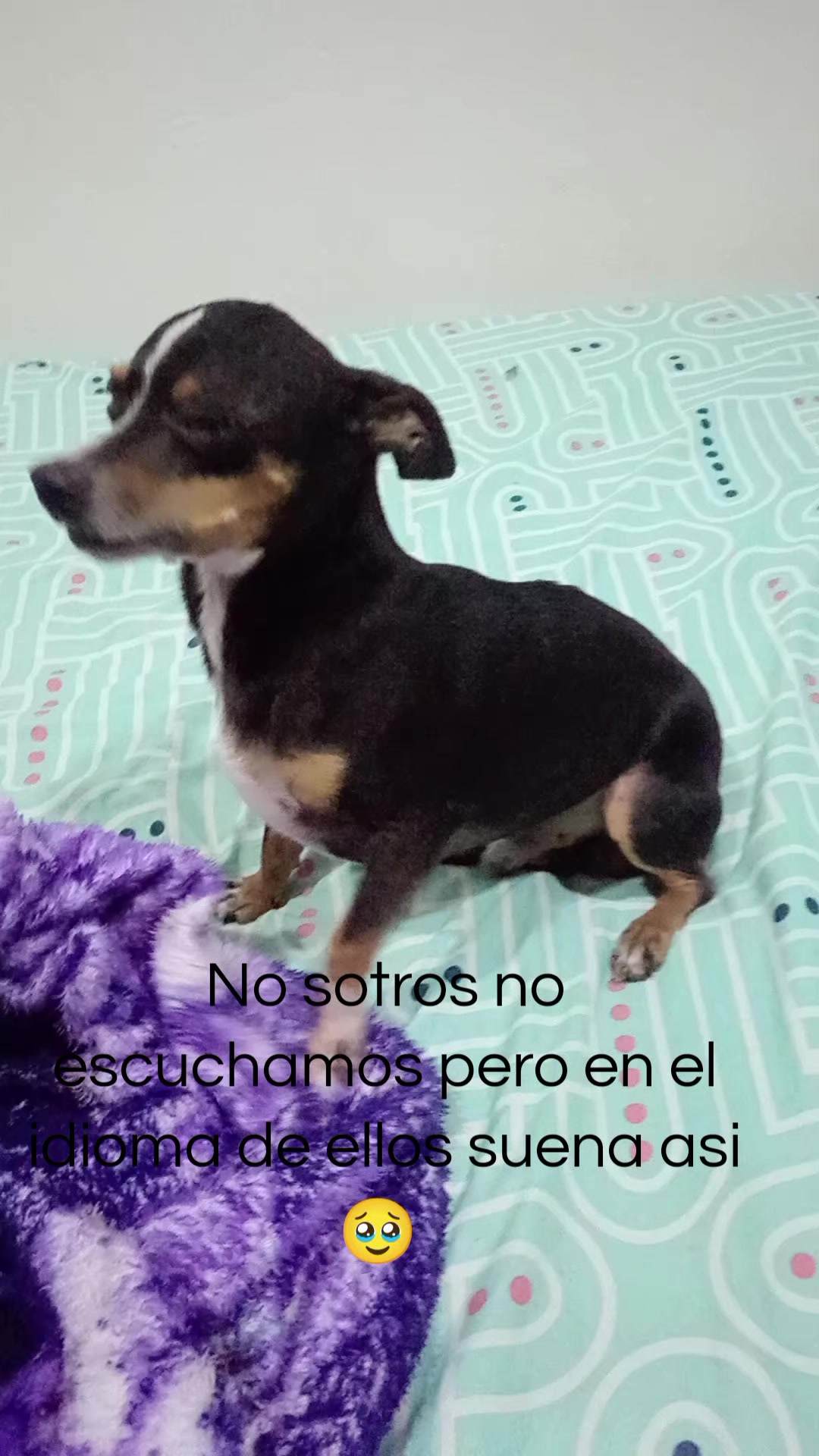 @. _°ariza°_.