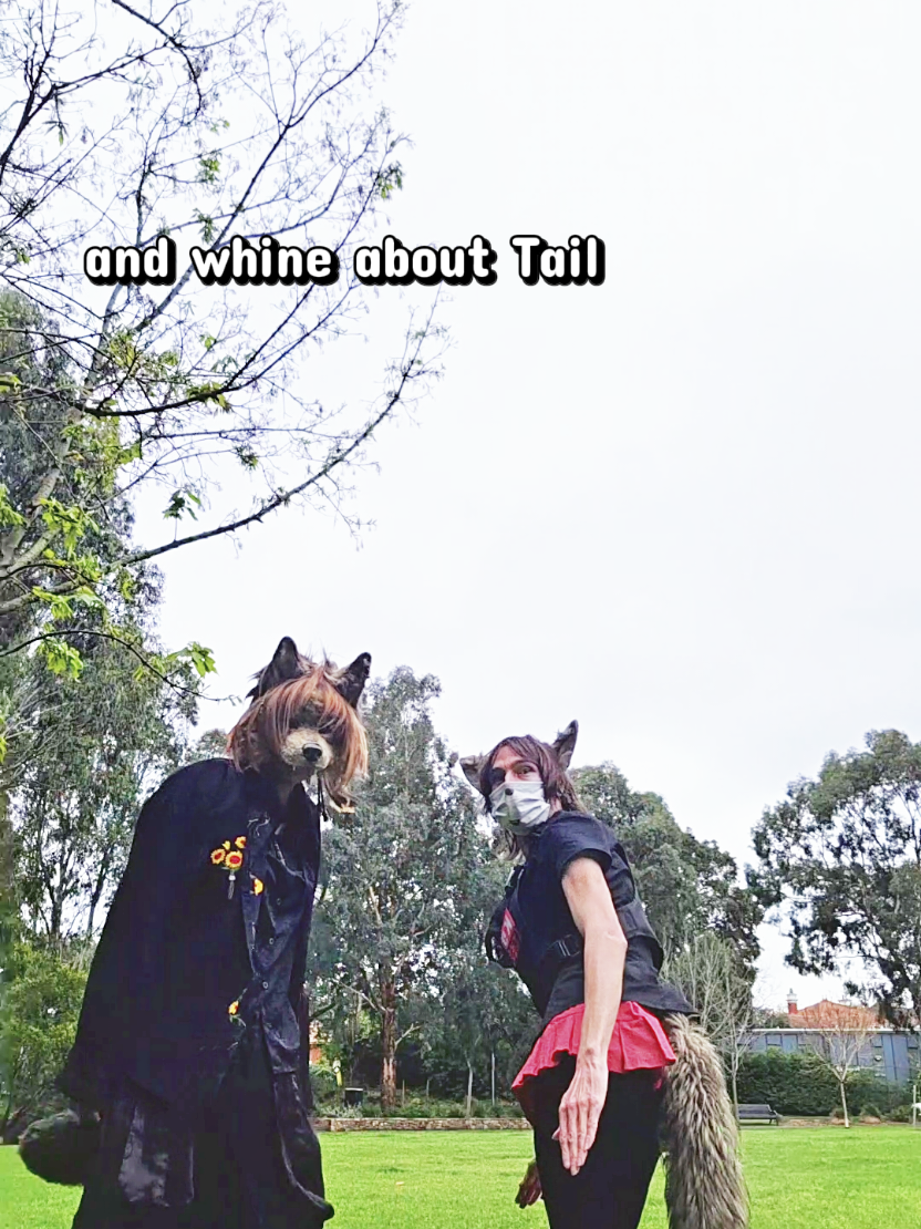 @Aspen is a wolf