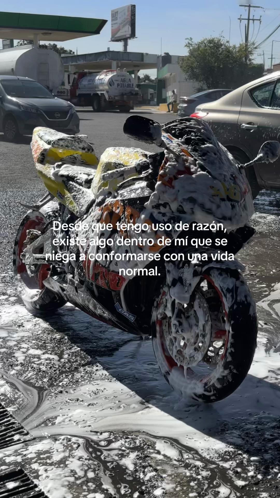 @bash_biker