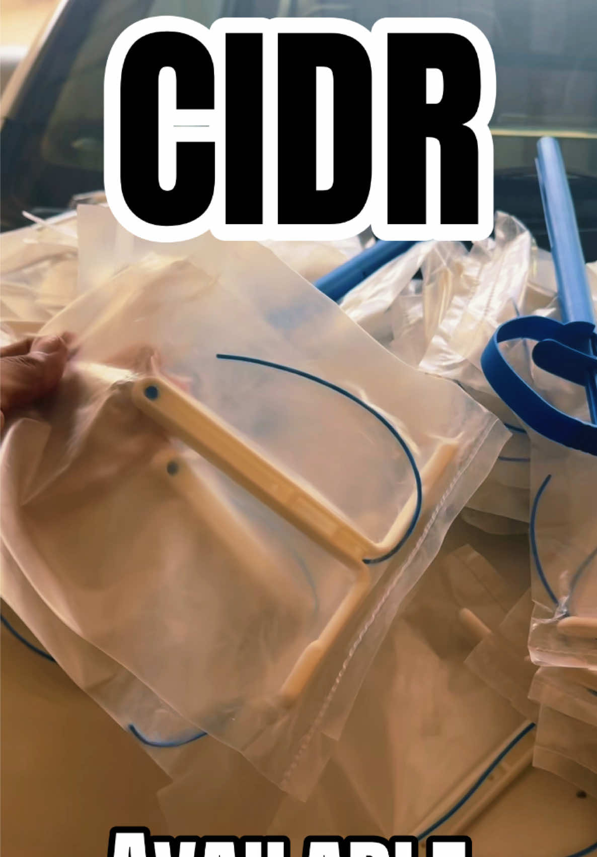 @𝐃𝐨𝐜𝐭𝐨𝐫 𝐌 𝐇𝐮𝐳𝐚𝐢𝐟𝐚