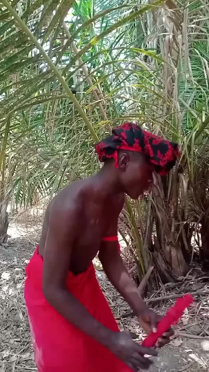 @barzistus