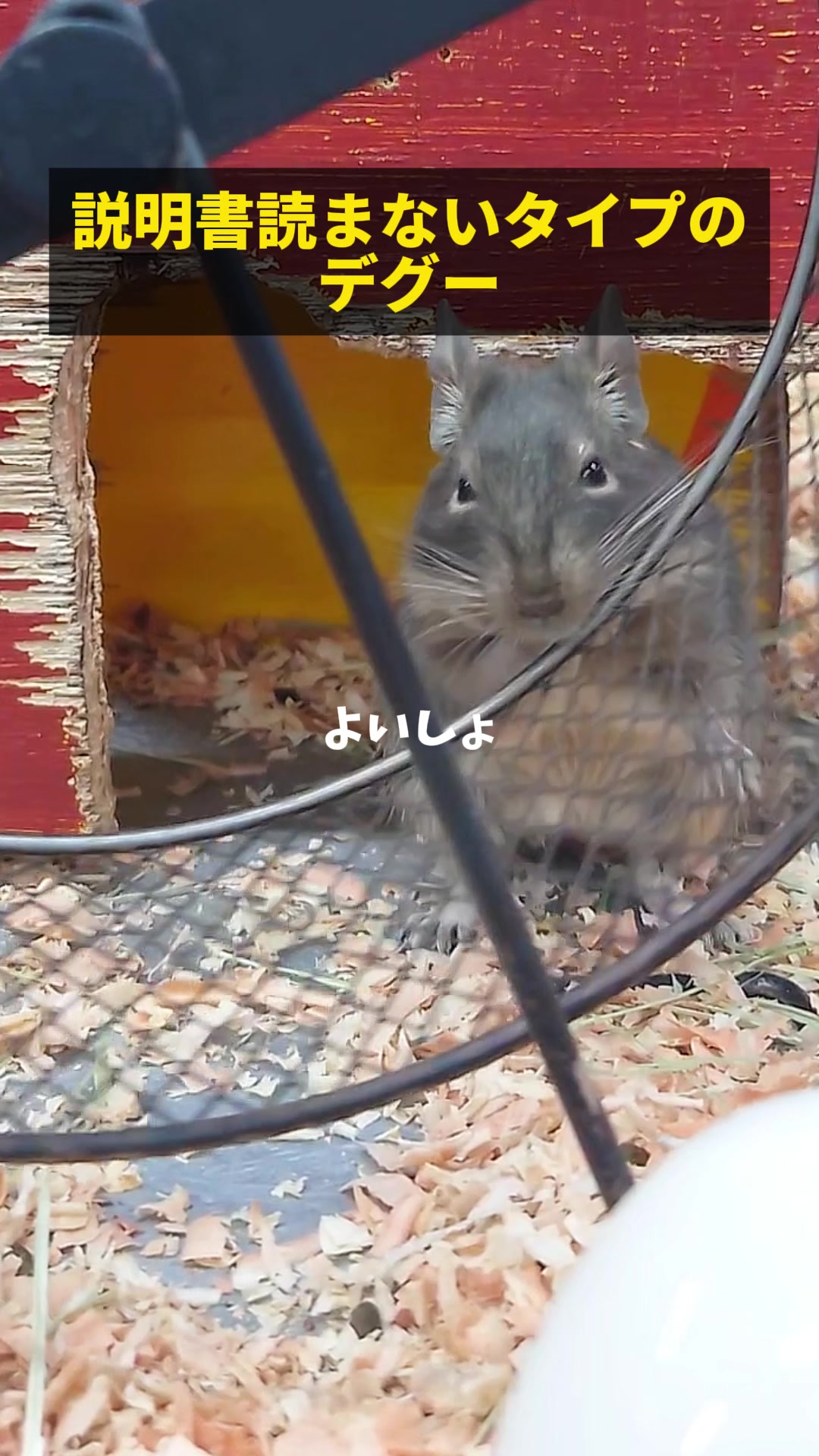 @TCA東京ECO動物海洋専門学校