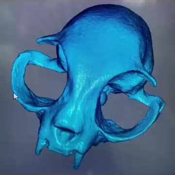 @Misterfeeneyart