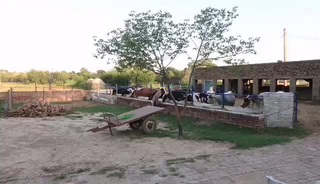 @KiNg GuJjAr 💓