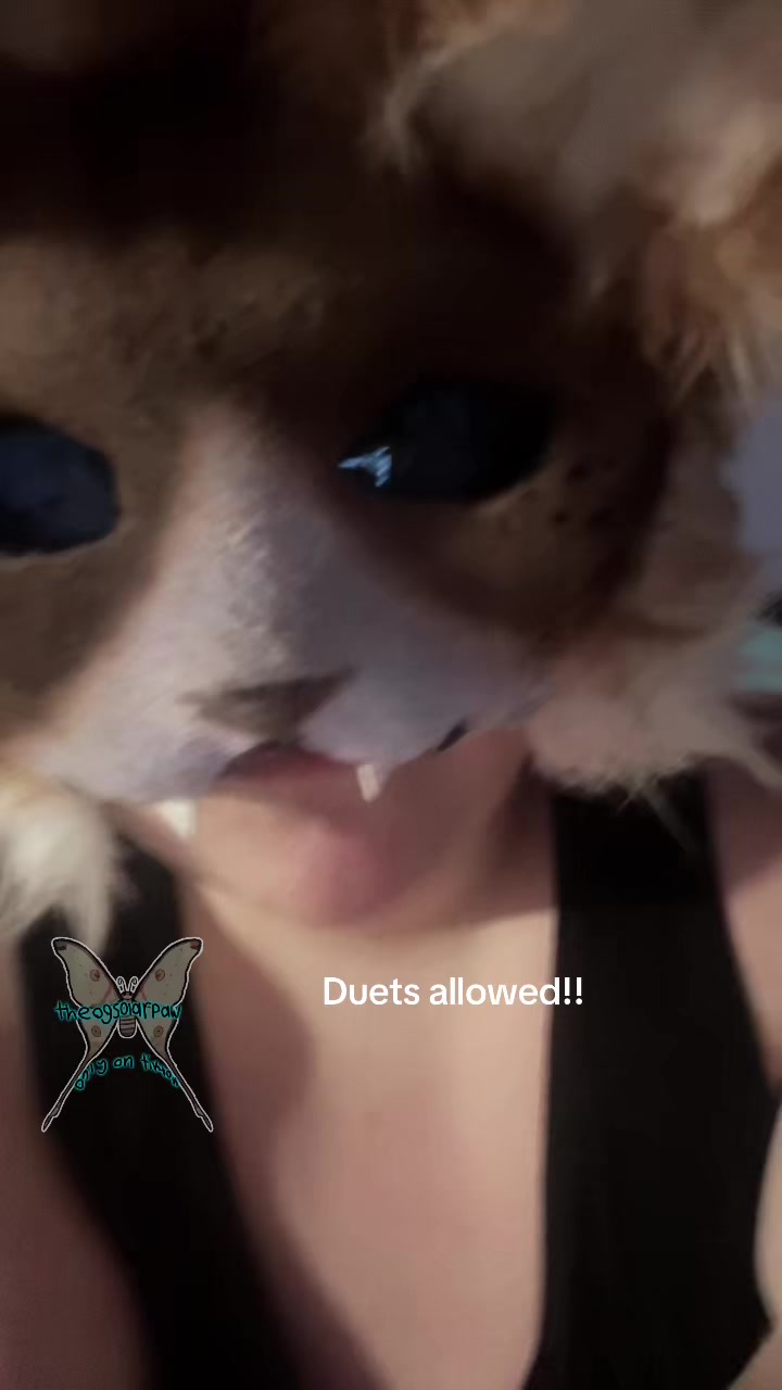 @Solar’paw