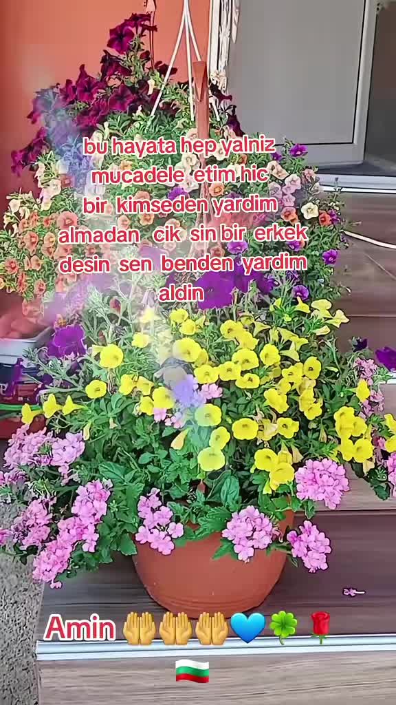 @🎀 Sultan 🎀 Dzhambazova 🎀
