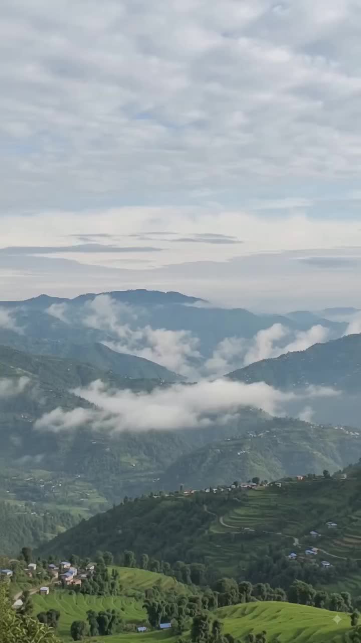 @arjunsunar469