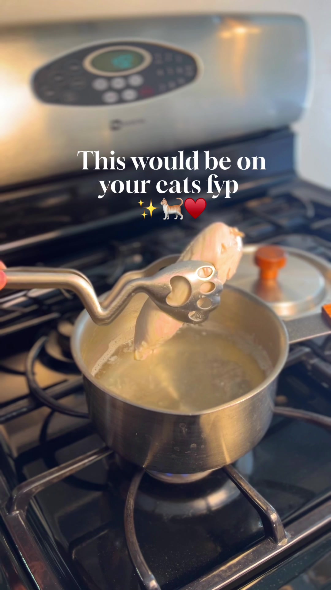 @happyhousecat
