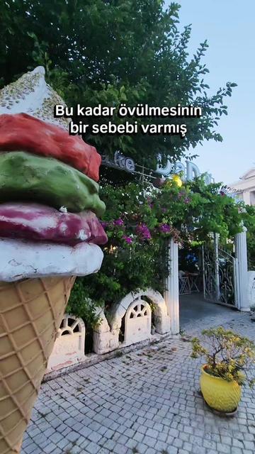 @Mehlika Aslaner