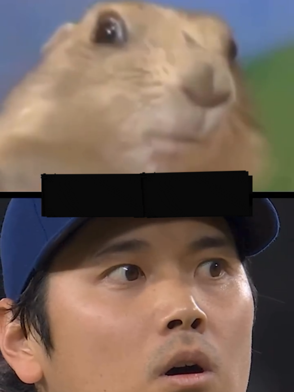 @Shohei Ohtani Fan