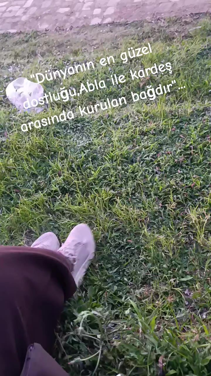 @&ccedil;ılgınveasi3