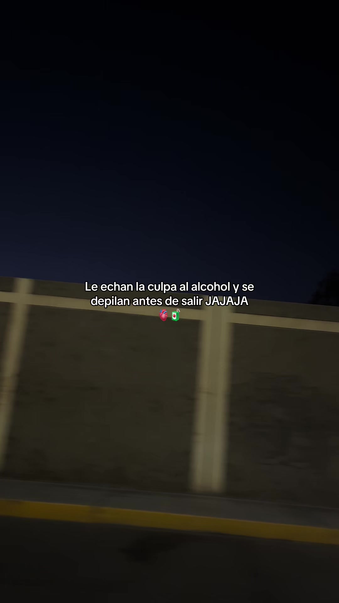 @Gatocix 🐱