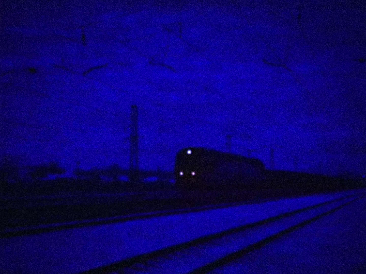 @𝖄𝖚𝖓𝖓𝖆 ♱