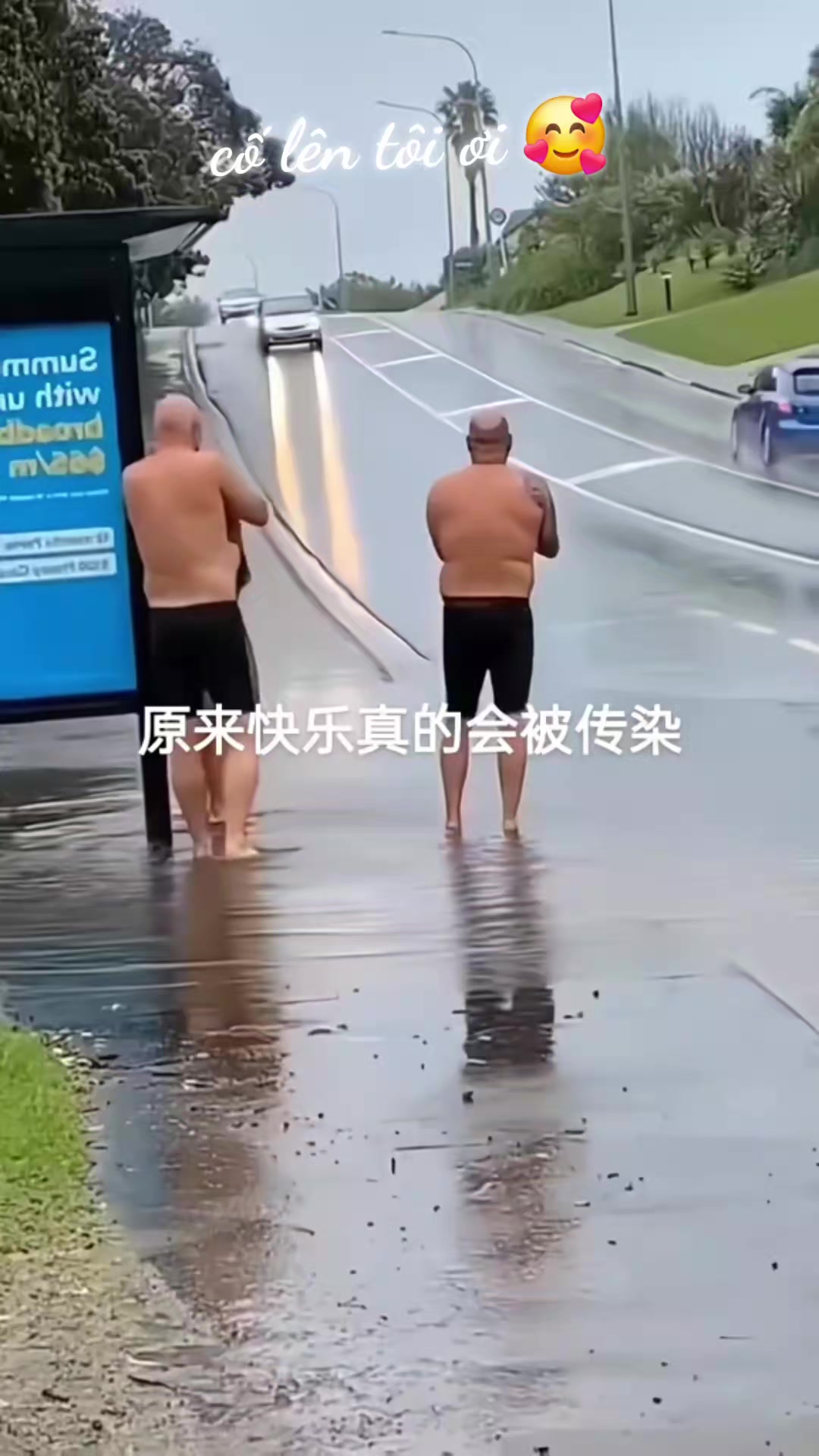 @phuongvo1175