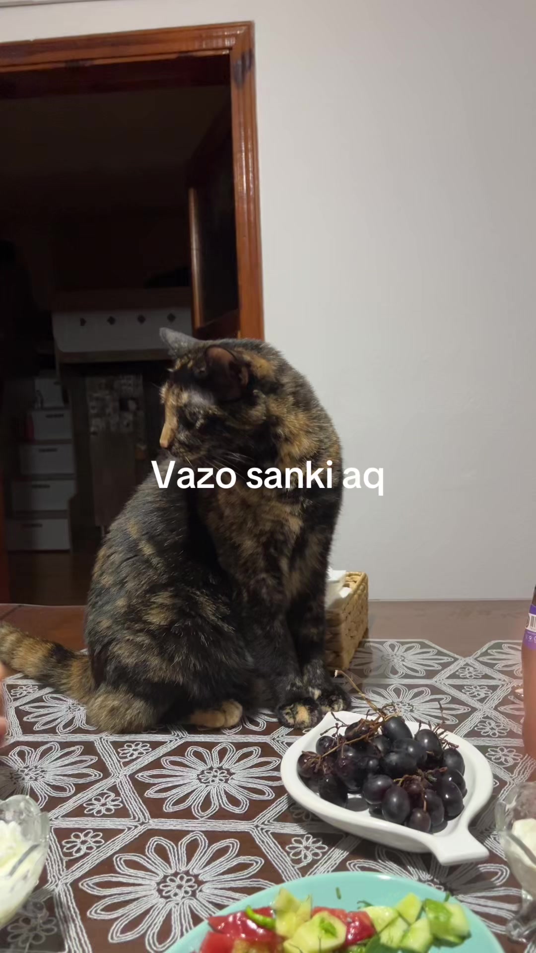 @ecrinpatos
