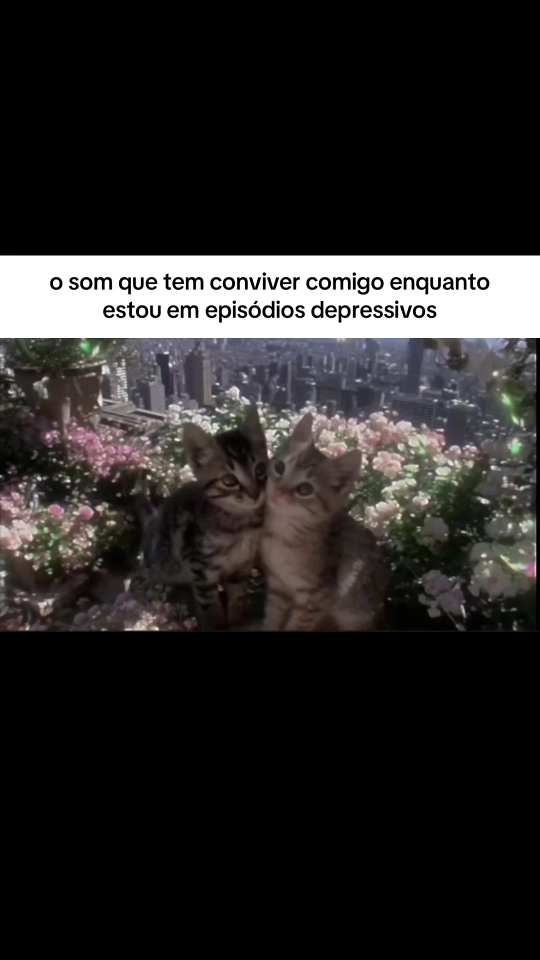 @ℓυᴄคร ᯓ★⁶⁷⁶⁷