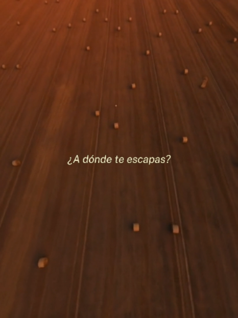 @Sanando a tu ex