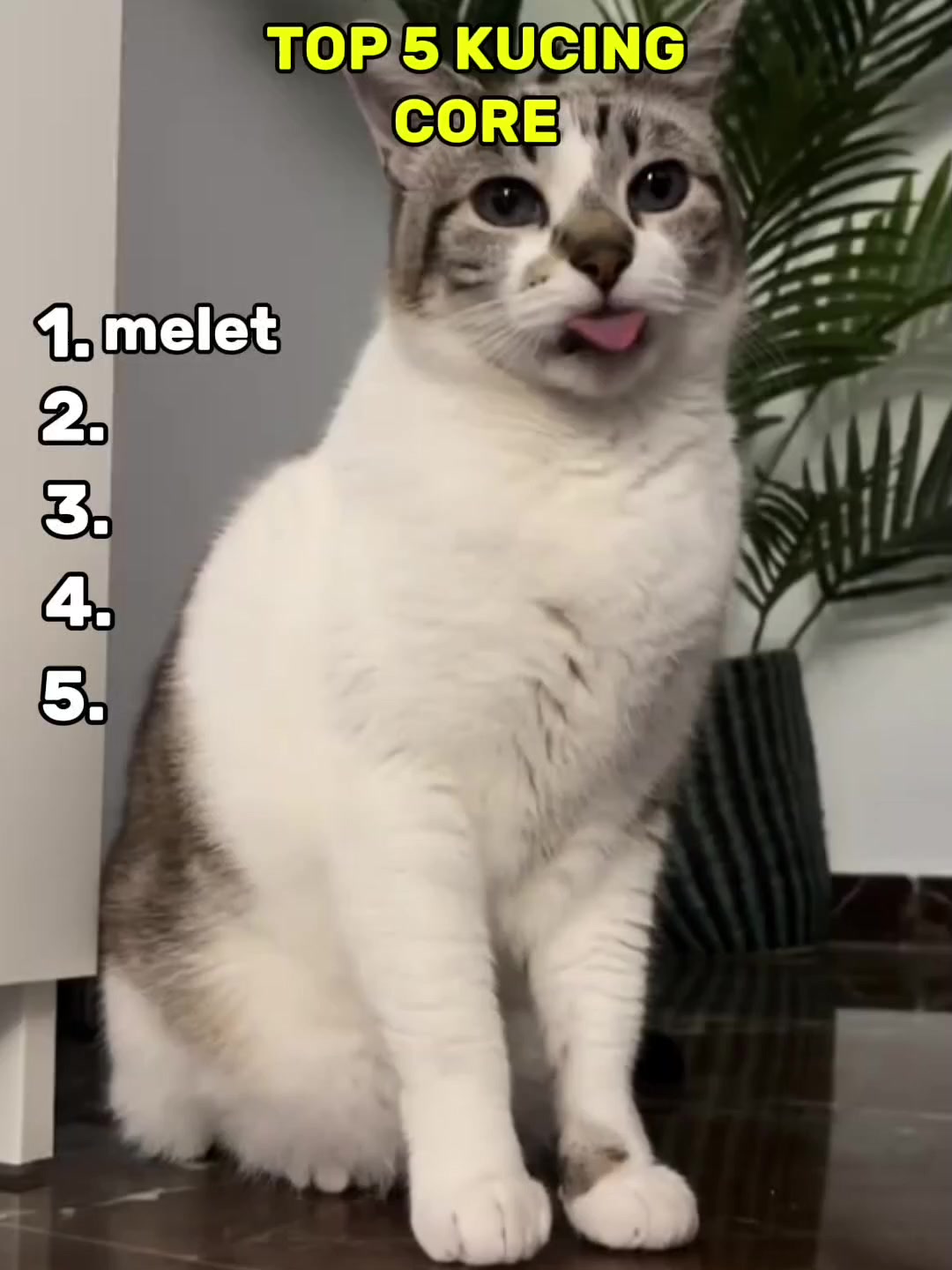 @JIMMY