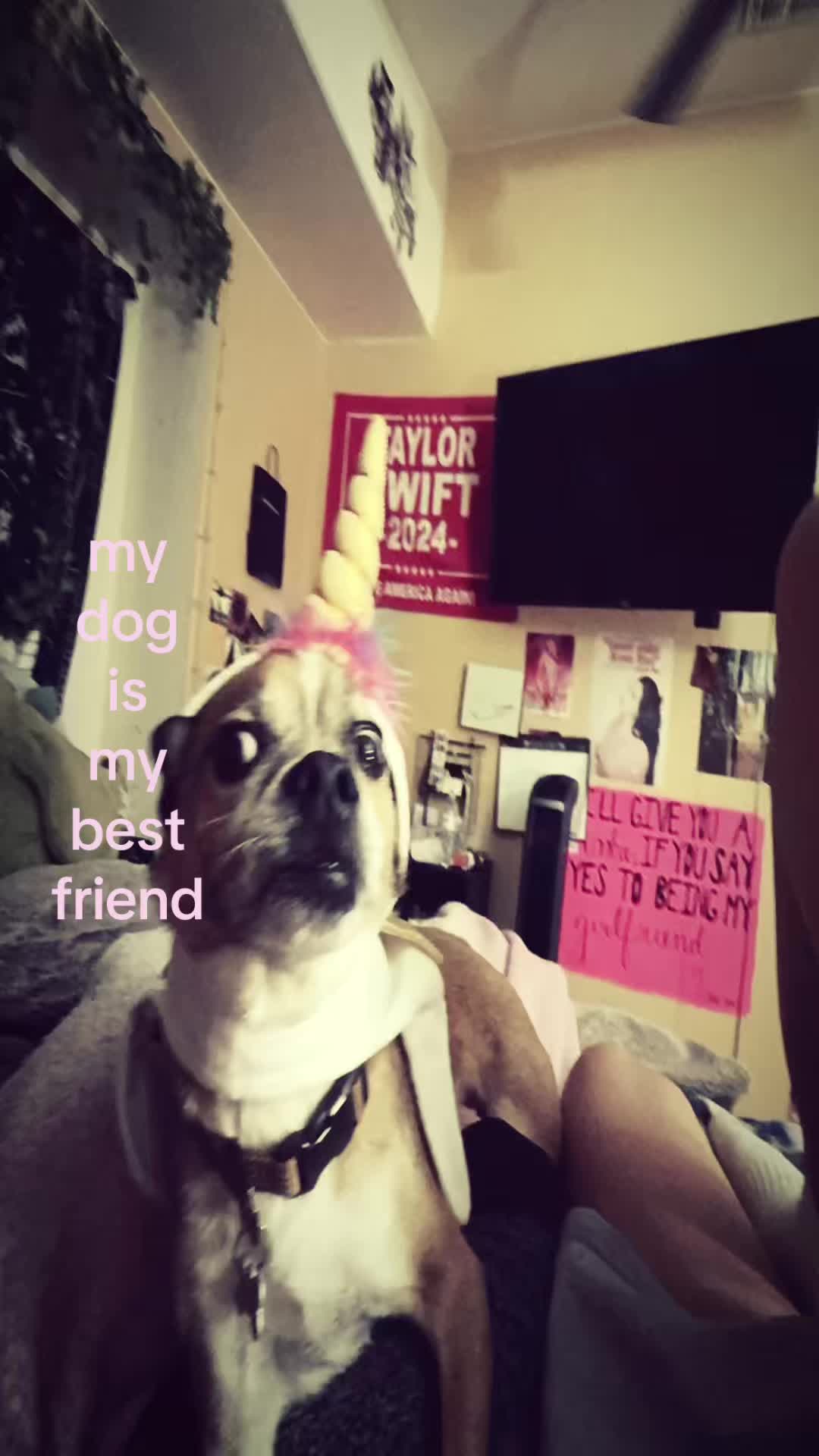 @ari