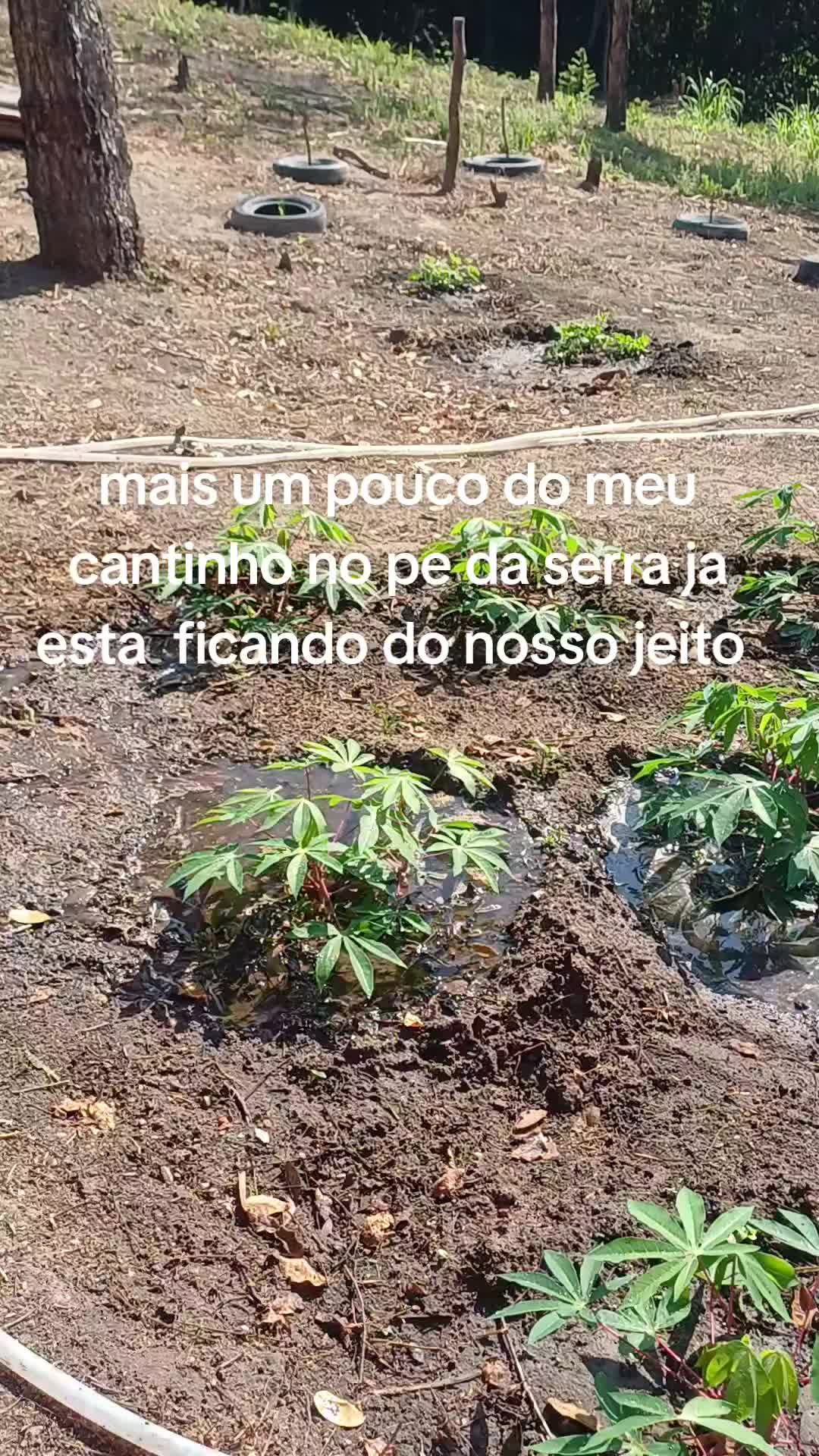 @Quesla da silva