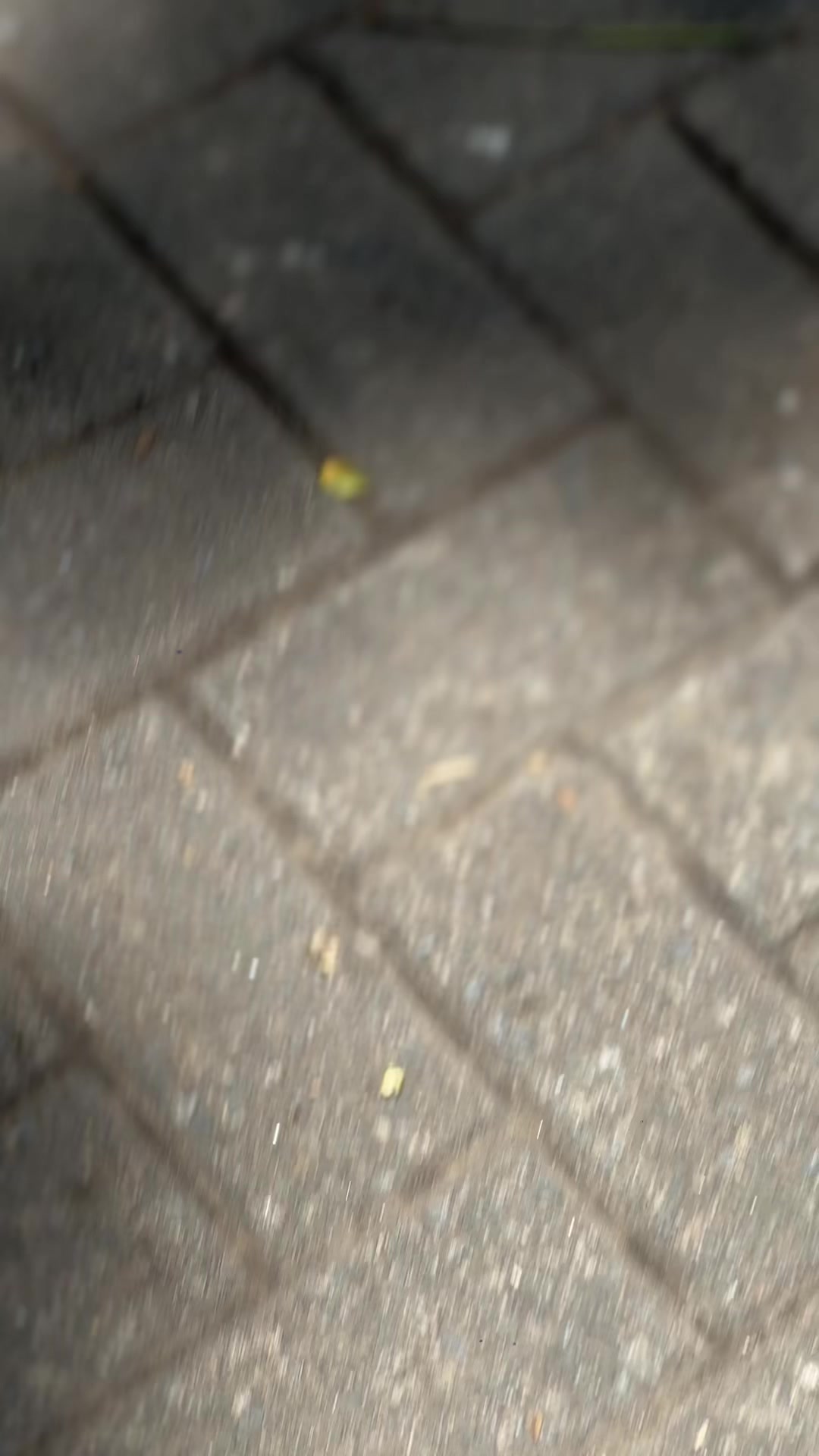 @y