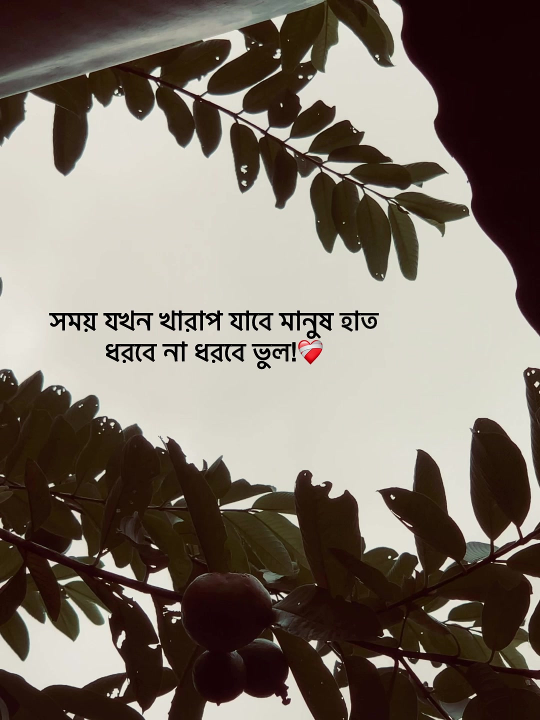 @Jit Baiddyađ§