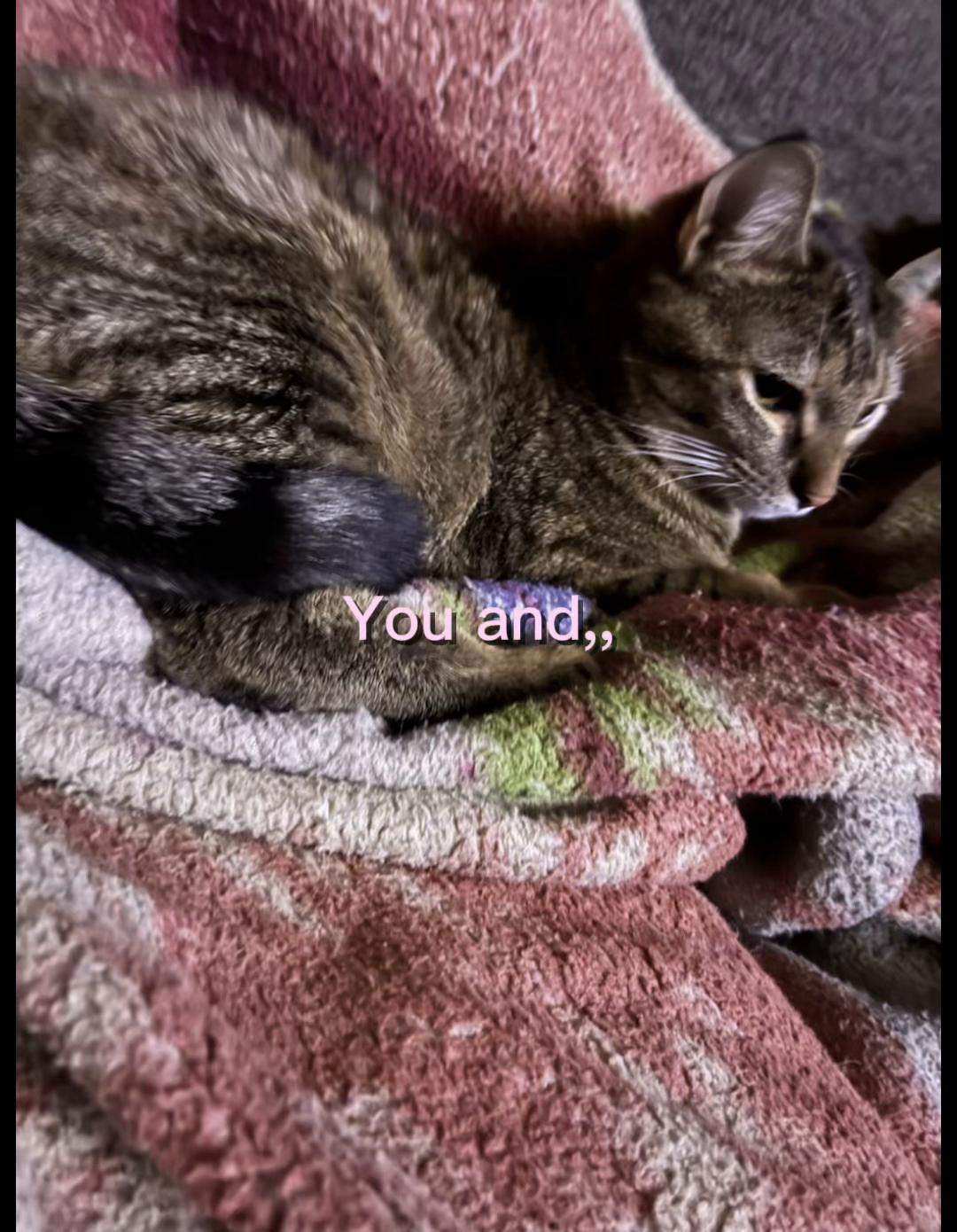@🌹 🌸Justice😘🥰😉😊